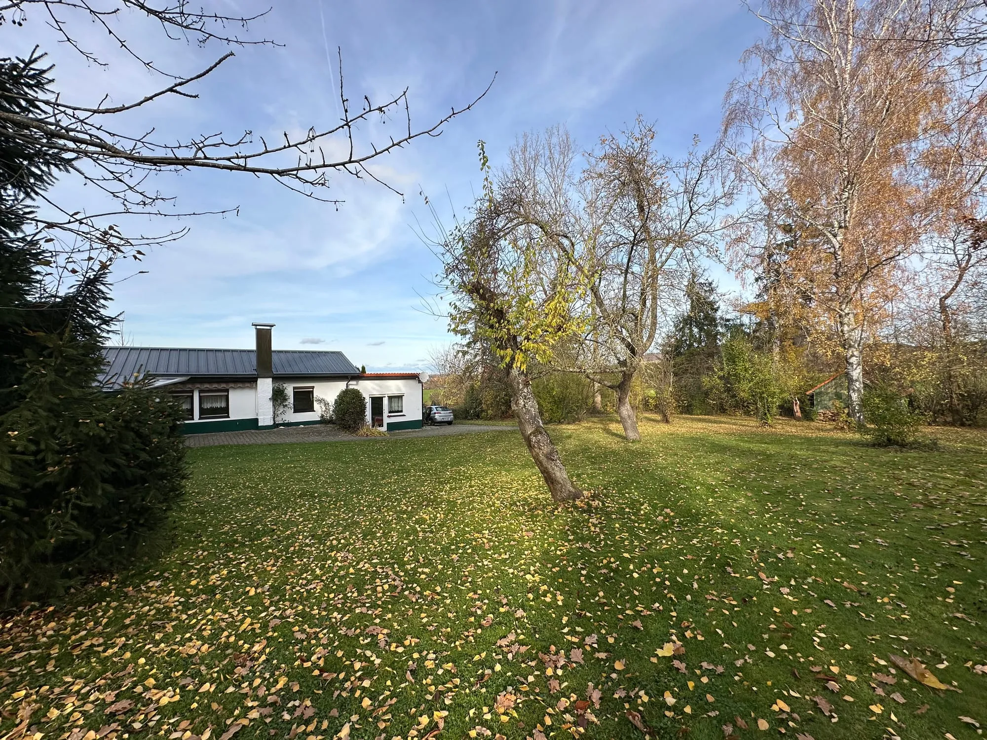 Urlaub reaktiver Hund