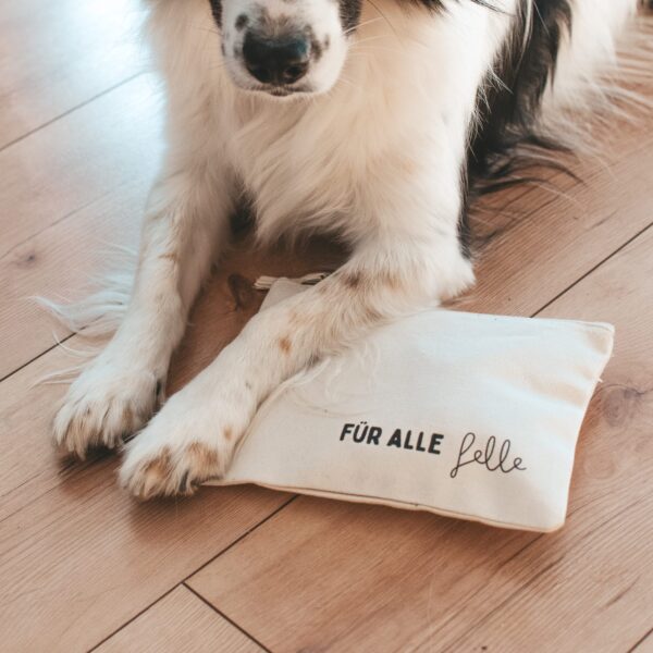 Täschchen "Für alle Felle" – Bild 2