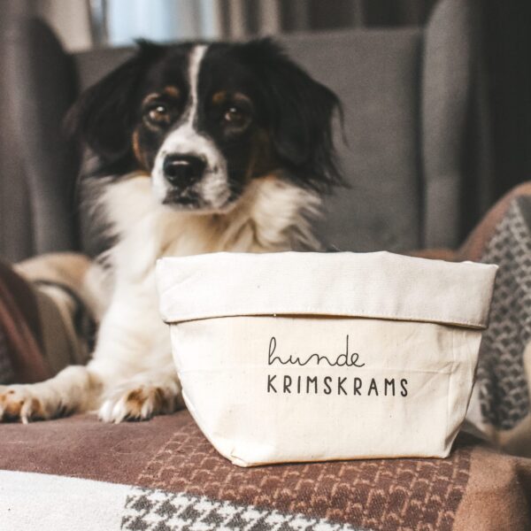 Aufbewahrungskorb "Hunde-Krimskrams" – Bild 3
