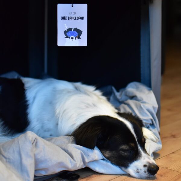 Duftbaum Hund für konditionierte Entspannung – Bild 5