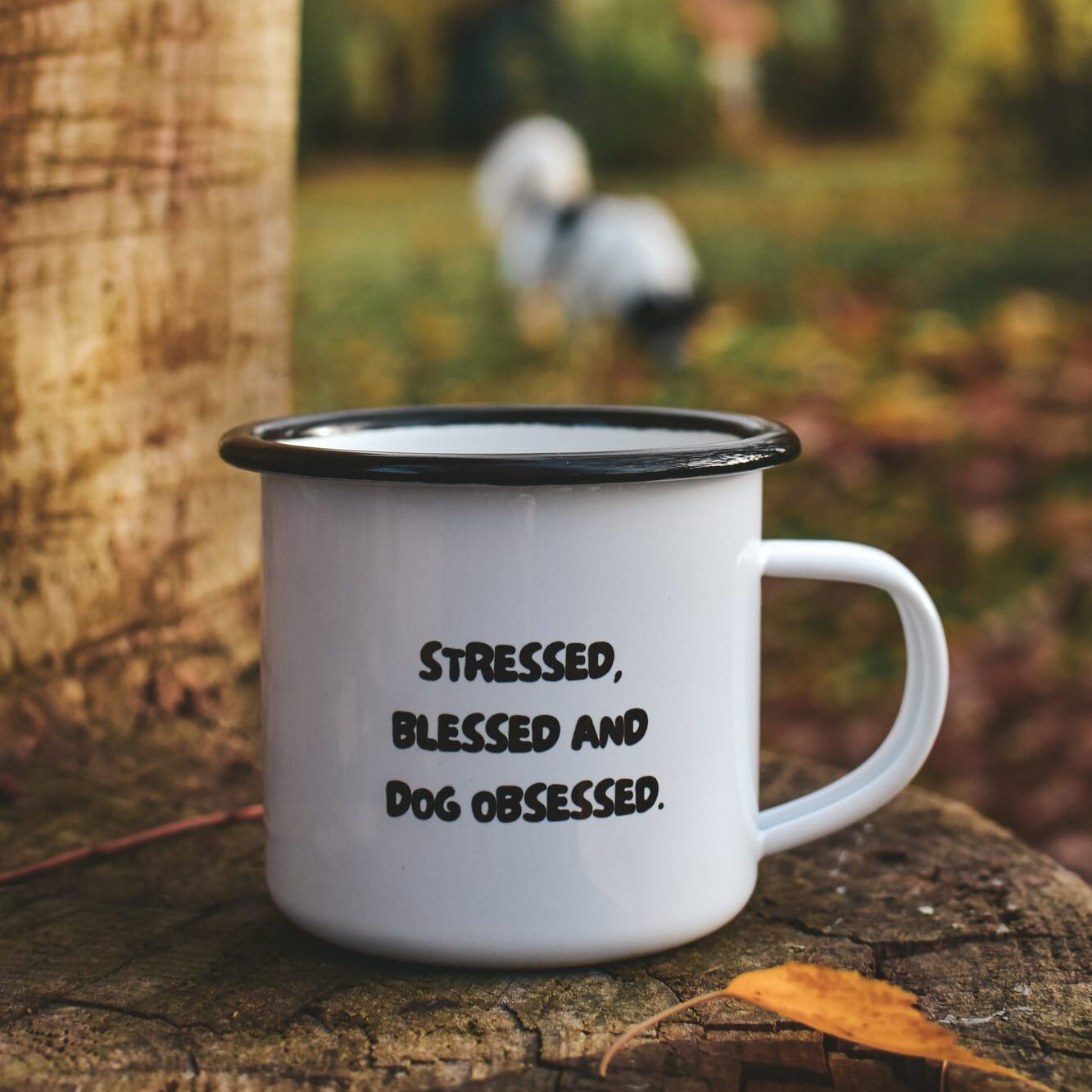 Tasse "Stressed, blessed and dog obsessed"